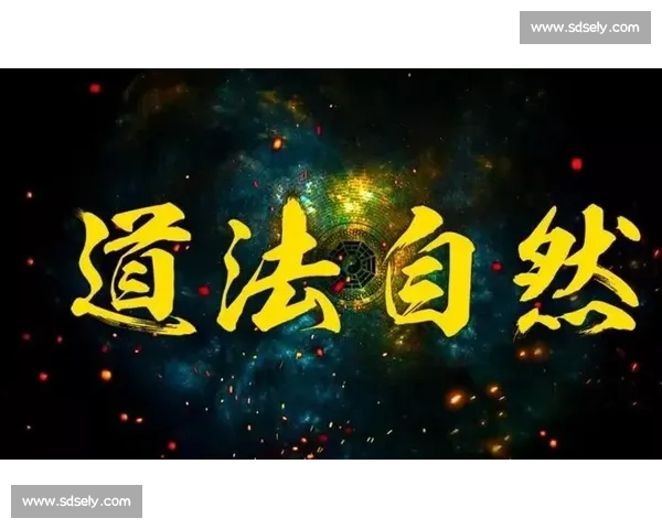 巅峰之下，专注自成光芒 —— 大满贯冠军的自我修行法则