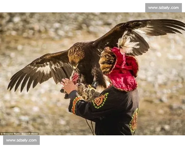 拉齐奥正式驱逐前训鹰师：露骨视频丑闻后终场法律拉锯战